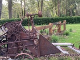 Mistinthegumtrees BUDGET 2 GLAMPING