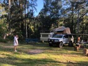 Big secluded space with a winter fire pit, picnic table and summer shade.