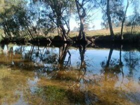 Tidal Creek at the border of the property.