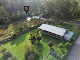 Mogo MTB TrailHead