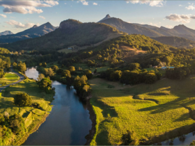 Mount Warning Views Camp
