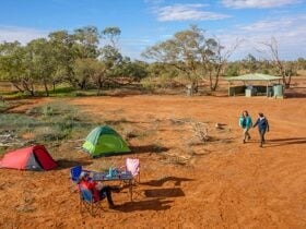 Friends camping by the billabong at Mount Wood campground. Photo: John Spencer/DPIE.