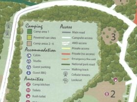 Mt Nellinda Campsite