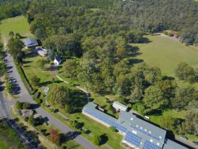 Aerial view of property set amongst lawn, gardens and bushland