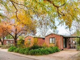 one bedroom cabins