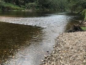 Nice swimming area
