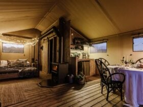 Glamping at Nashdale Lane