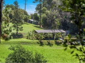 Nature Immersed Cabin & Glamping