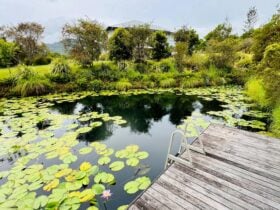 Nimbin Village Sanctuary