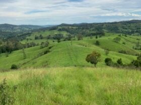Oakey Ridge