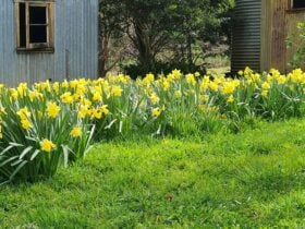 Oakleigh Farm Stay