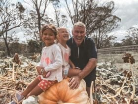 Old Forty Pumpkin Farm