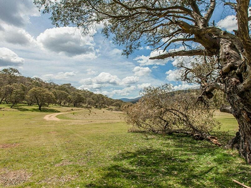 Old Snowy campground, Kosciuszko National Park. Photo: Murray Vanderveer/NSW Government