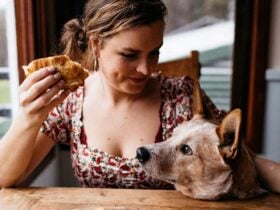 Olive Wood Vegan with dog