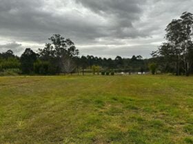 Paddock Camp