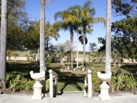 Palms Oasis Motel