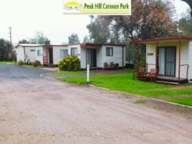 Cabins