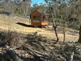 Peelwood Park Kangaloolah cabin
