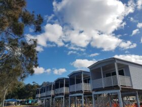Pelican Cabins