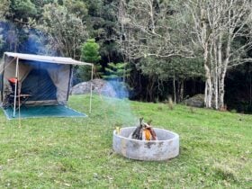 Pine Creek Camping