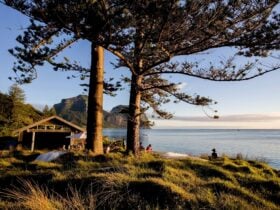 Relax at the Pinetrees boatshed