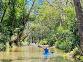 Platypus Creek