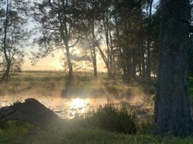 Absolutely stunning early morning sunrise