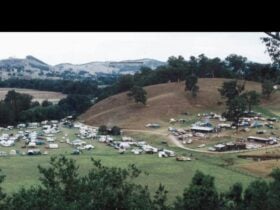 Poley's Place