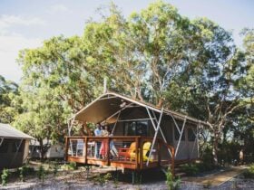 Deluxe Glamping