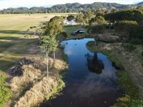 Pottsville Farm