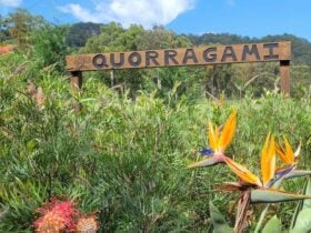 Quorragami