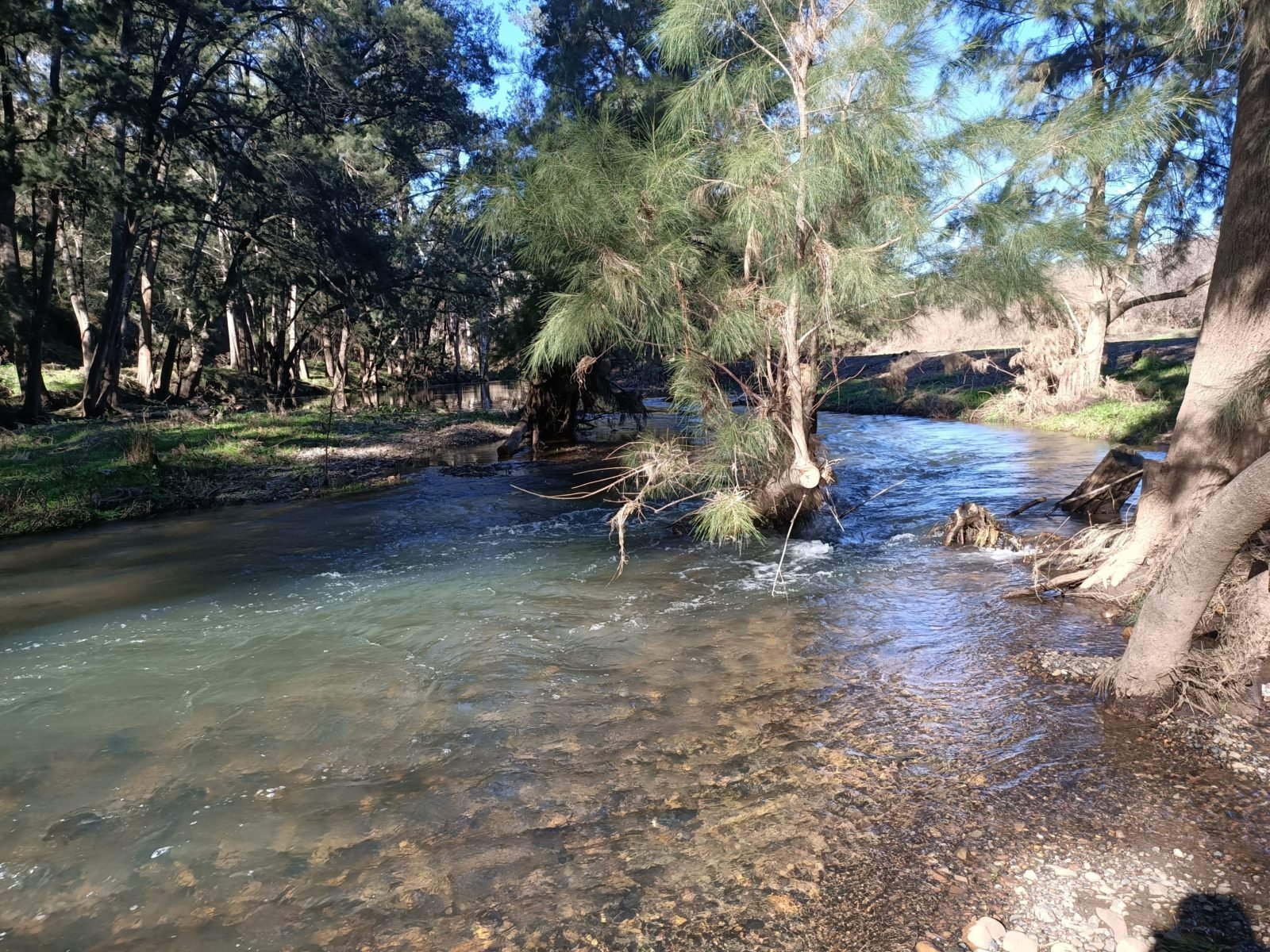 Turon River at Ration Point