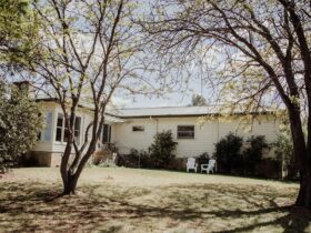 White weatherboard cottage near Rylstone, surrounded by established trees and garden
