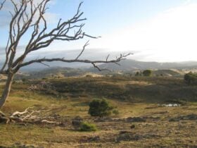 CLICK TO VIEW FULL GALLERY