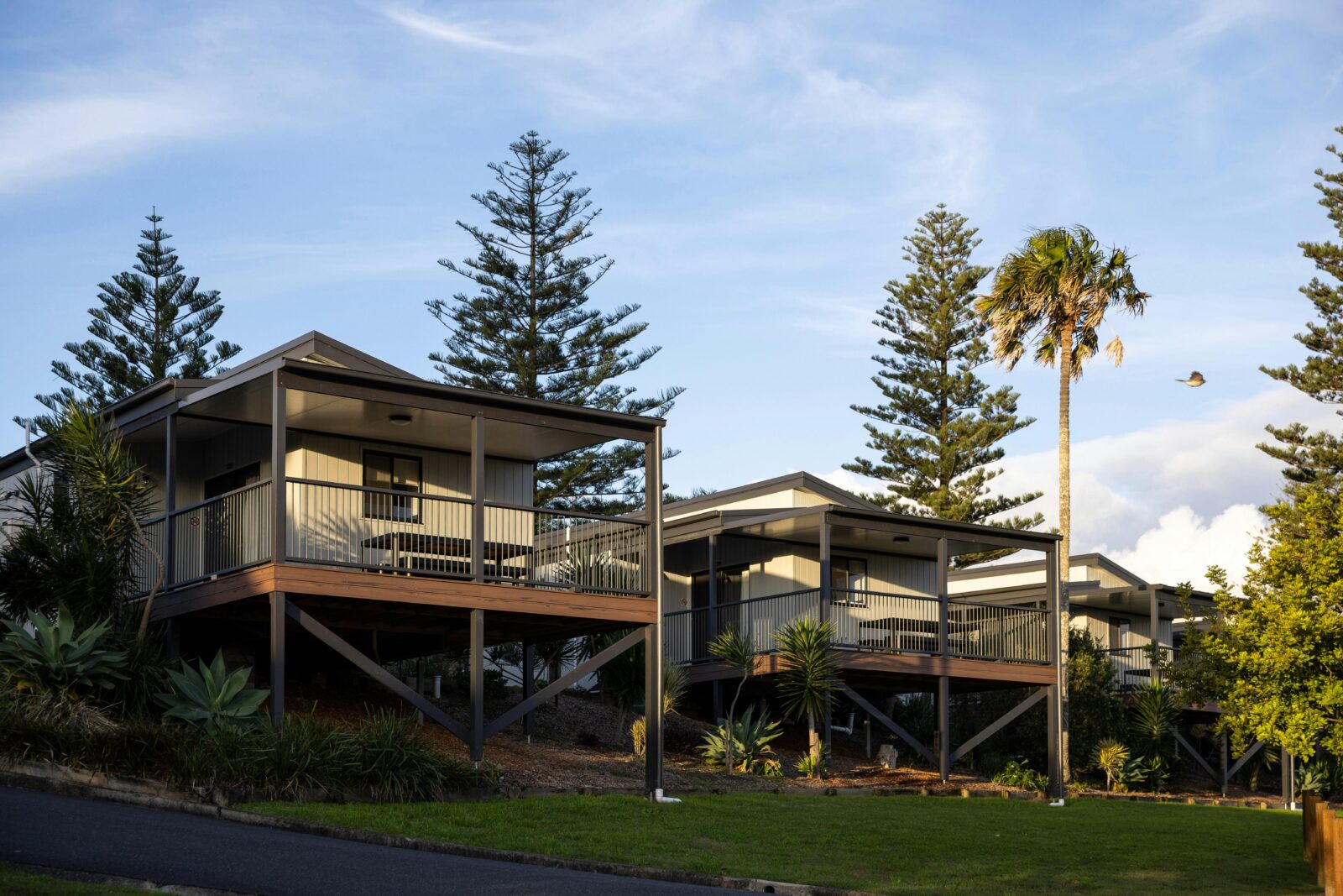 Cabins up on the hill at Forster Beach