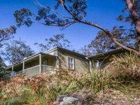 Exterior of Reids Flat Cottage in Royal National Park. Photo: Rosie Nicolai/OEH