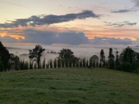 Ridge Line Camping