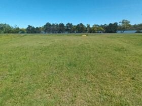 Riverdell Farm