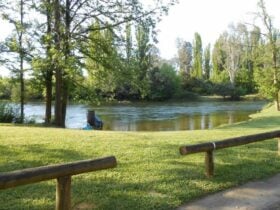 Riverglade Caravan Park