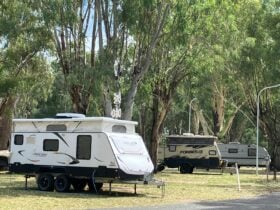 Caravans and Trees