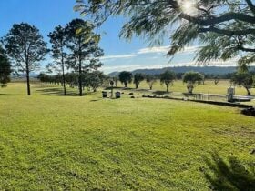 Roadrunner Caravan Park