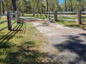 Rural Cattle Farm