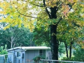 Rustyque Escape in Colo Heights