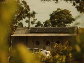 Sally the Skywatcher at B Farm by Murrays