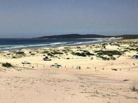 View across sand to vehicles, people, and a tent on Samurai Beach in Tomaree National Park. Photo: