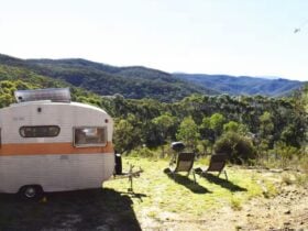 Scribbly Gum Bushland Retreat