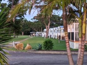 Cozy cabins on the water's edge surrounded by lush greenery and palm trees.