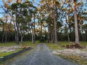 Secluded Shallowford Retreat