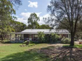 Serenity Grove