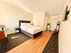 Executive Queen Room